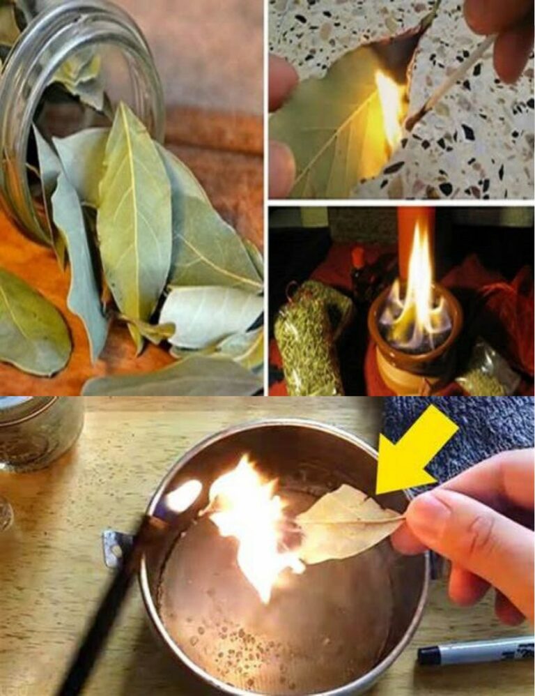Here’s why you should burn bay leaves at your home