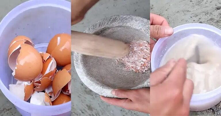Never Throw Away Eggshells: Your Plants Will Thank You for This!
